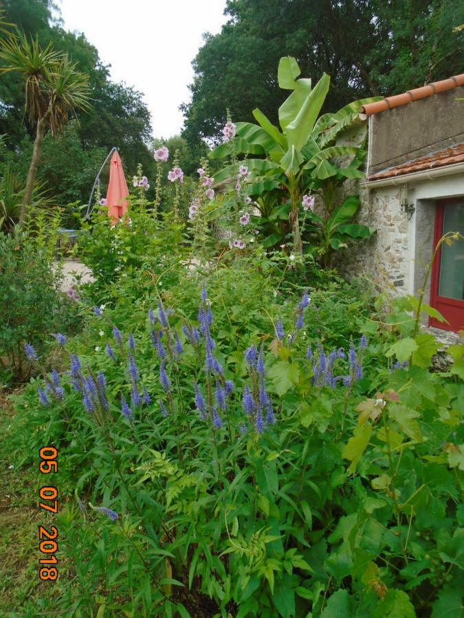 Les Trois Etangs Bed and Breakfast Saint-Viaud Zewnętrze zdjęcie